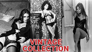 Vintage Beauty Collection: Iconic Historical Photos & Uncovering The Unseen Vintage Photographs