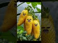 , Alifunbaa Taun Saa I Naat Islamic video #catie #fruit #abdulbaricartoon #funny #fruitcutting