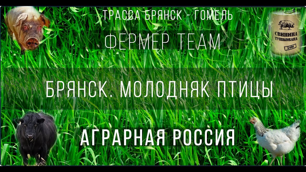 Фермер Брянск Интернет Магазин