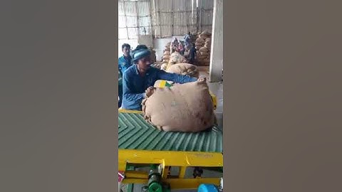 paddyloading conveyor by macro conveyors 99445 54409 tamilnadu coimbatore