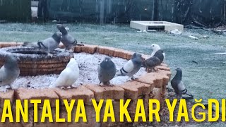 Kar yağarken güvercin uçurdum 22 Yıl aradan sonra Antalya'ya kar yağıyor.