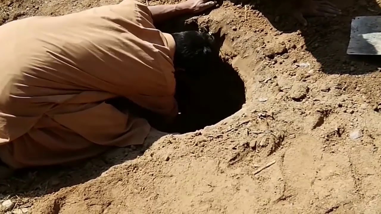 Underground Rabbit Farm - YouTube