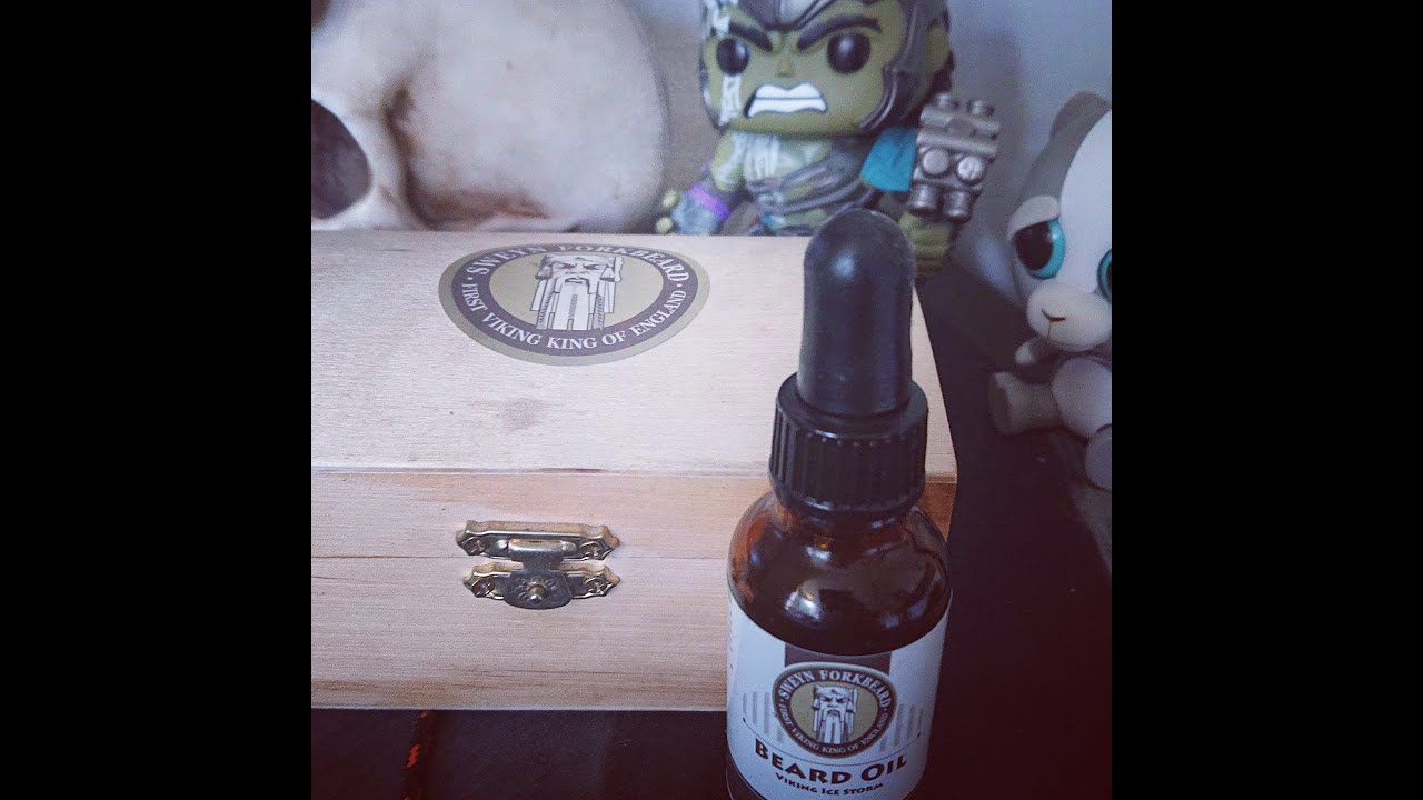 Sweyn forkbeard viking ice storm