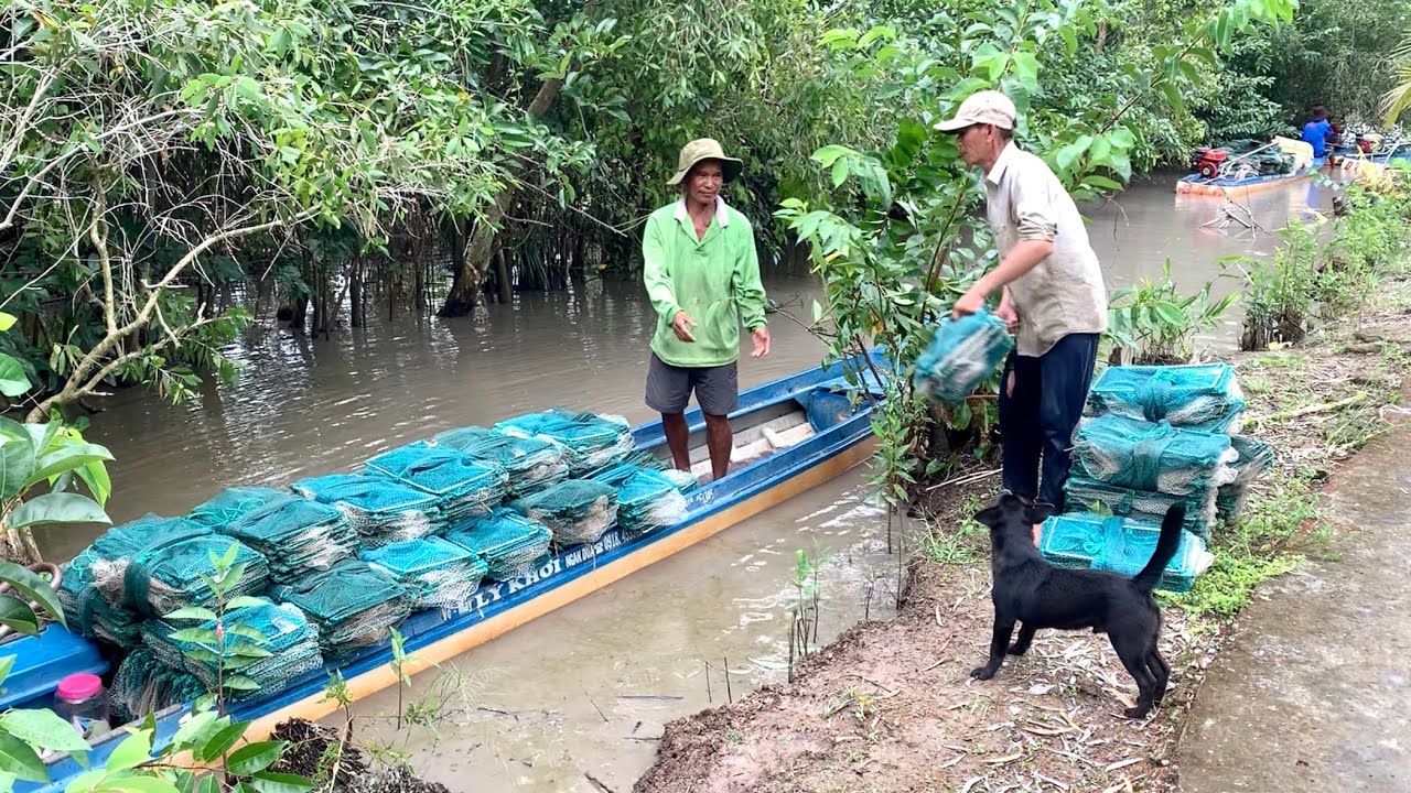 Công Cụ Bắt Cá Hiệu Quả, Mùa Đặt Lú Bắt Cá Mùa Nước Lên Miền Tây ...
