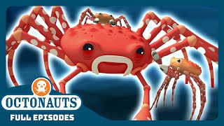 @Octonauts - 🕷️ The Giant Spider Crab 🦀 | Season 1 | Full Episodes | Cartoons for Kids