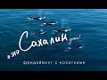 Wild Orcas: Фридайвинг с косатками на Сахалине.