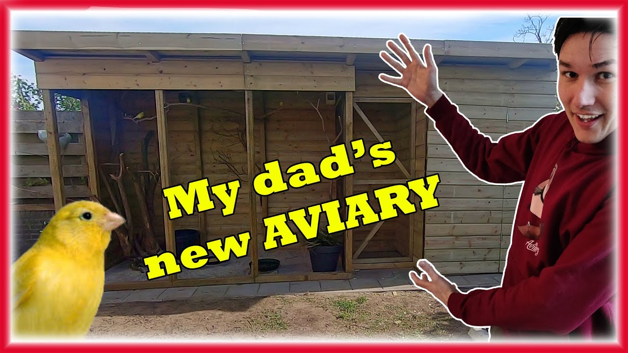 I *SURPRISED* my Dad with a New FINCH/CANARY Aviary