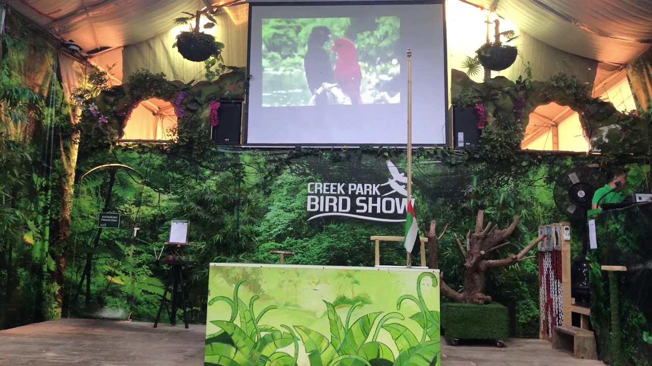 The famous bird show in Dubai