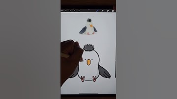 Drawing Chip Seagull from Jellycat! Day 34🌟 #drawing #cute #procreate #cuteart #art #summer