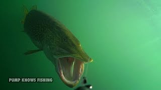 10 Minutes of Underwater Pike Strikes - Water Wolf Underwater Camera screenshot 4