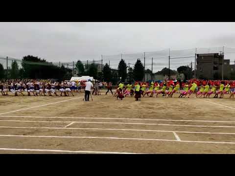 20220908多摩高体育祭 綱引き