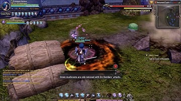 Dragon Nest Crusader Lightning Zap Bug Explain