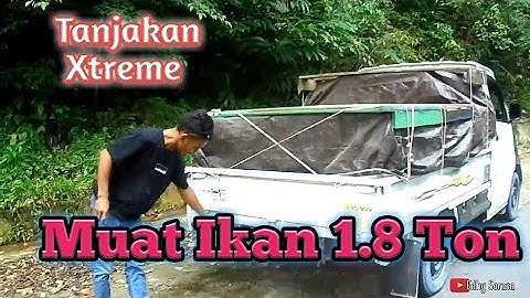 Mobil Ikan Bermuatan 1.8 ton Nekat melewati Tanjakan Extreme || Tanjakan Pasir Putih #Tolitoli