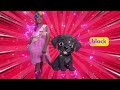 BL Blend Song for Kids | Learn the Bl Sound with Music and Dance!