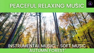 Peaceful Relaxing Music, Instrumental Music, Soft Music "Autumn Forest" screenshot 5