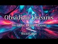 Obsidian Dreams – BuzzValse | Official Music Video | Melodic Deep House 2025