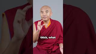 Famous Can The Essence of Meditation Actually Be Joyful? Profile