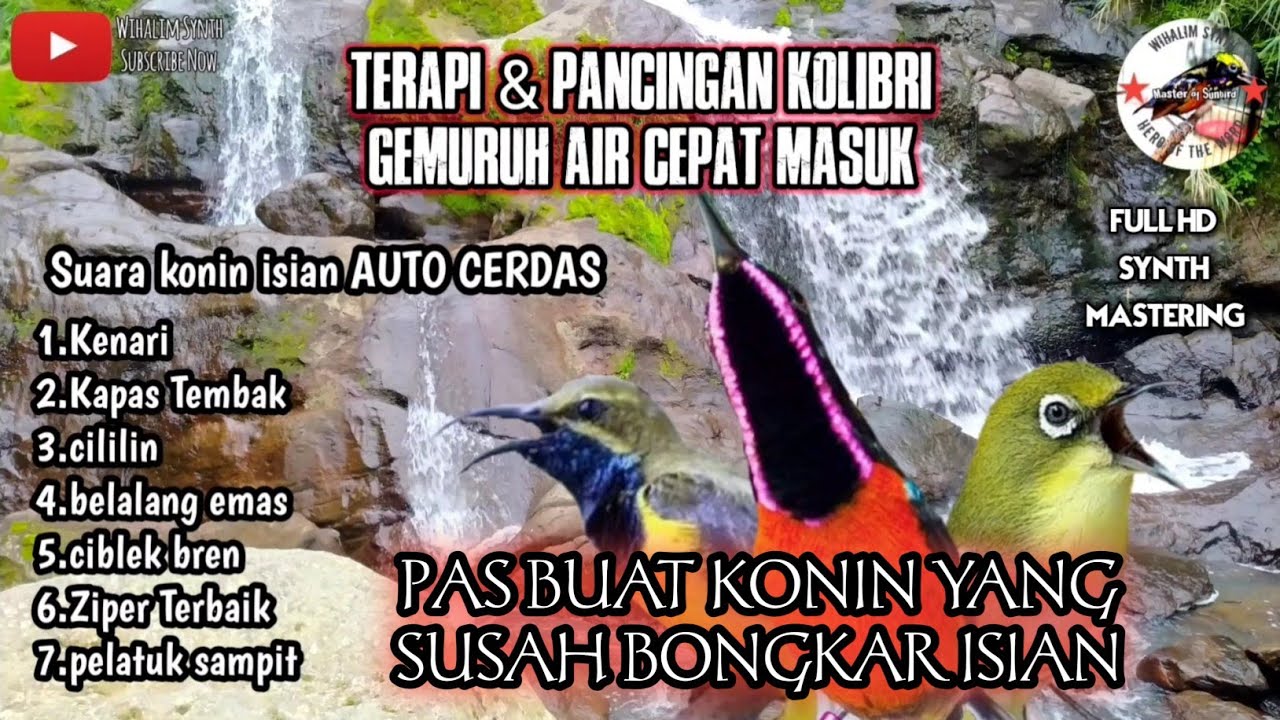 TERAPI KONIN Biar CEPAT BONGKAR ISIAN & TERAPI SUARA AIR