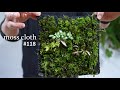 なんで布にコケが生えるの??【活着君をつかった苔布の作り方】 #118