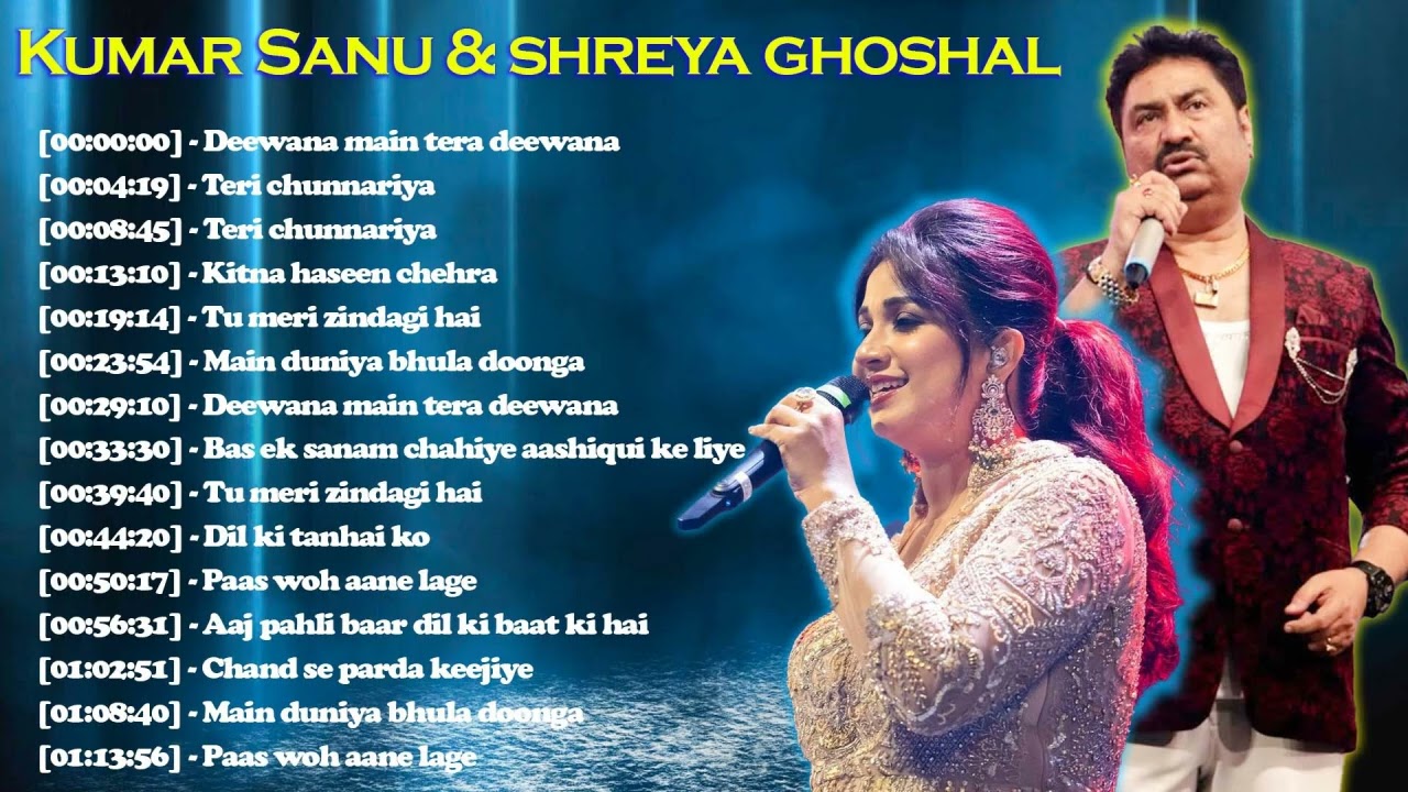 Hindi Melody Songs, Superhit Hindi Song , kumar sanu, alka yagnik & udit narayan 90's Hindi Songs