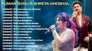 Hindi Melody Songs, Superhit Hindi Song , kumar sanu, alka yagnik & udit narayan 90's Hindi Songs