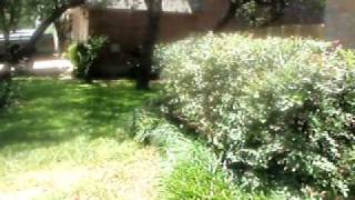 Owner Financed, Rent To Own Texas Home - - Bad Credit Ok - - Cedar Park 4/2.5.Avi