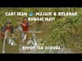 Sepot tak terduga berburu  cari ikan belanak mujair sungai mati berburu ikan fyp sungai