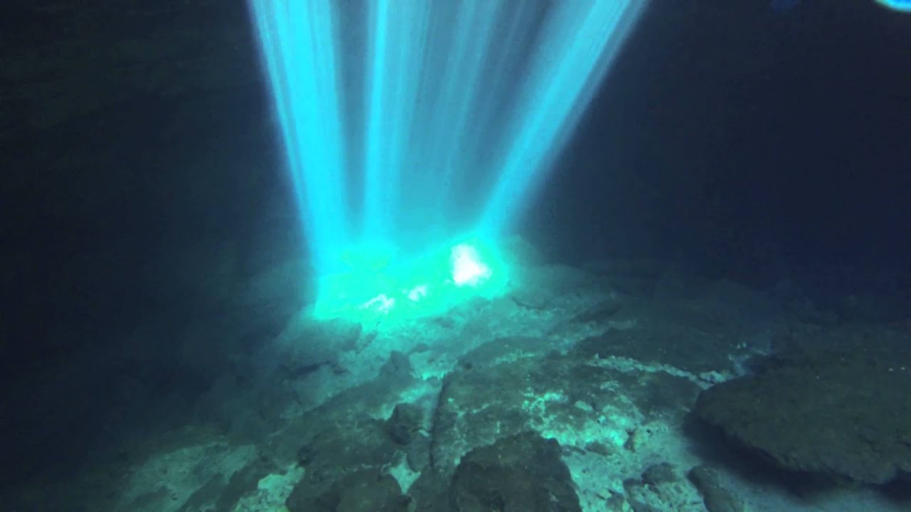 Devil's Den Williston Florida Prehistoric underground cavern sinkhole ...