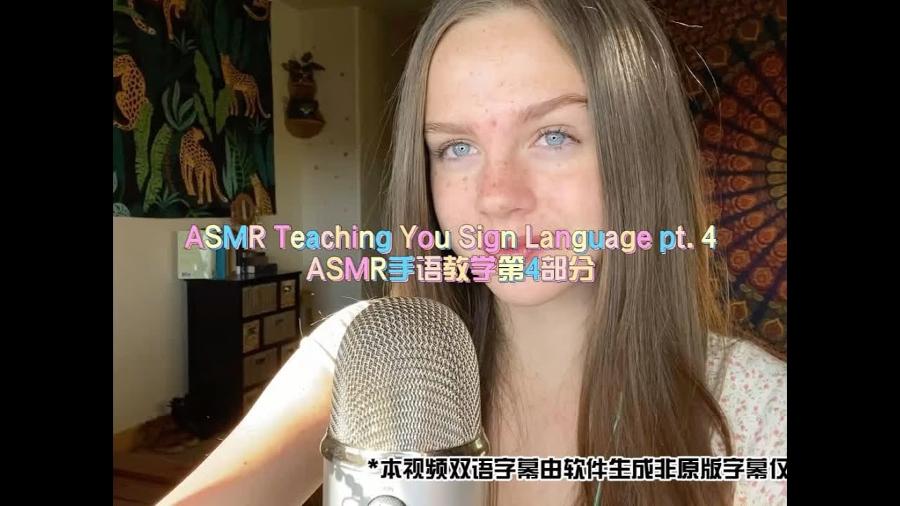 ASMR Teaching You Sign Language pt. 4ASMR手语教学第4部分#asmr #赫敏 #赫敏asmr # ...