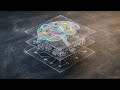 The Evolution of Neural Activity Organization and Brain Kinematics Model