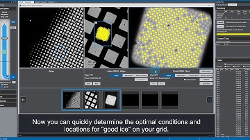 Automatic Targeting for Cryo-EM with Latitude S Software