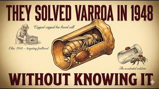 The 1948 Varroa Solution Nobody Knew Was a Varroa Solution
