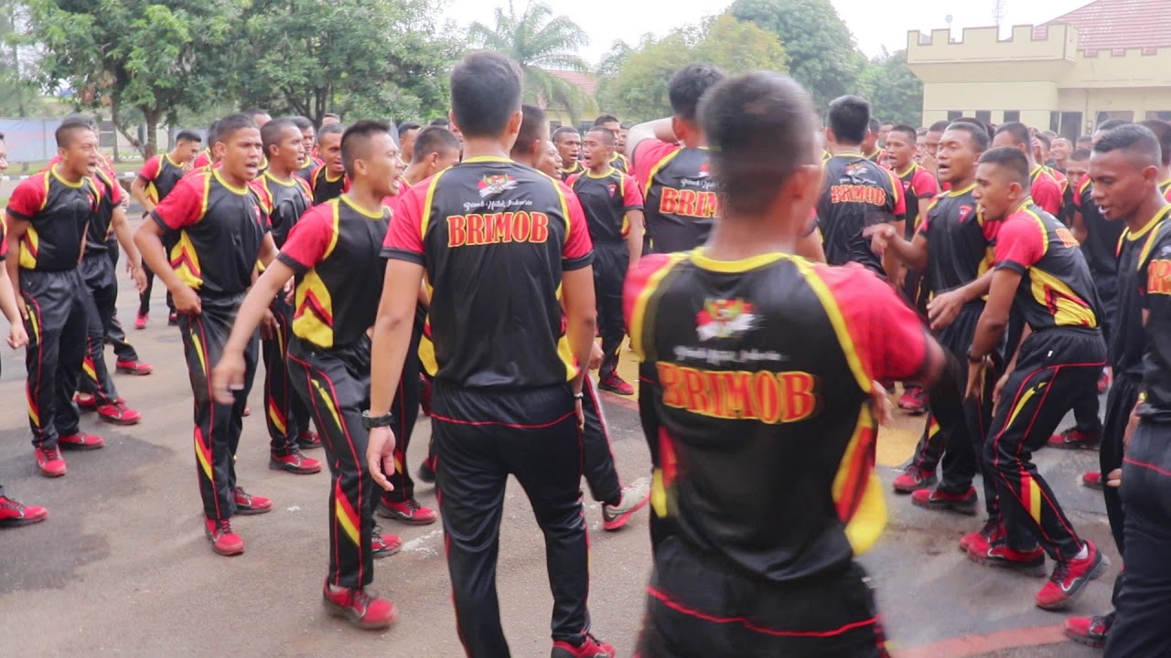 YEL YEL BRIMOB YANG LAGI VIRALL  YEL YEL TERPESONA DARI REMAJA BATALYON C RESIMEN 1 PASUKAN PELOPOR🔥