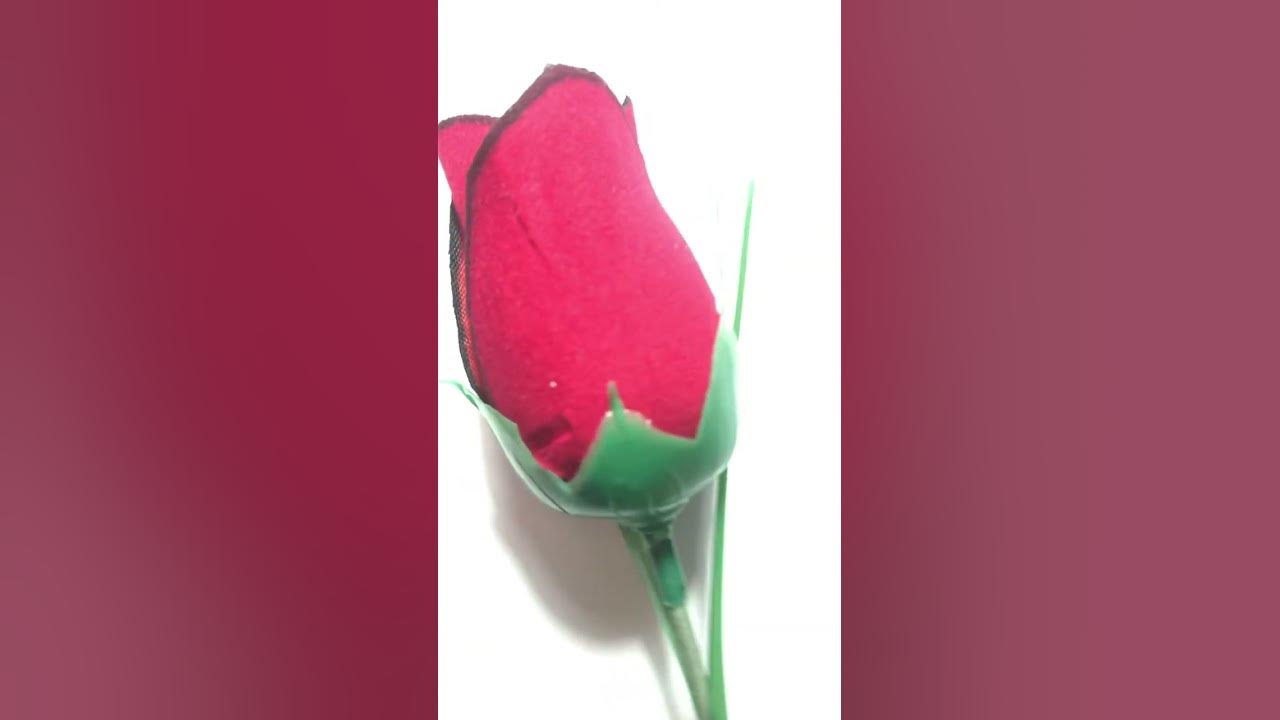 цветок 🌹 на мамино день рождения 🥳 - YouTube