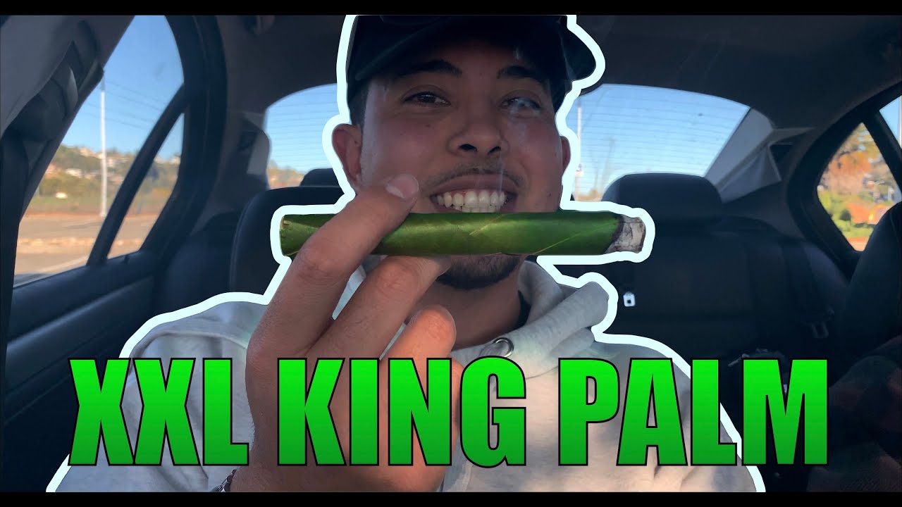 KING PALM XXL 5K SUB CELEBRATION YouTube