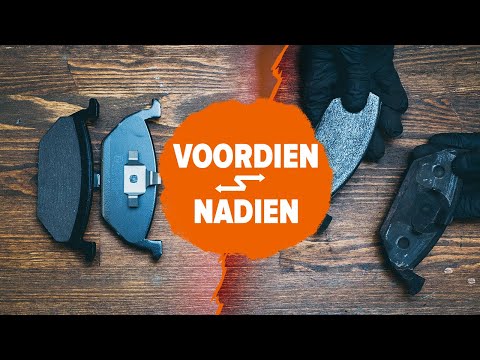 Video: 5 Tekenen dat je bokser beklemtoond is