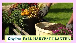 3 pro tips to create a stunning Fall harvest planter