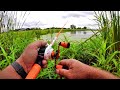 Tips For Catching MORE Fish In Ponds - Pond Fishing Setup