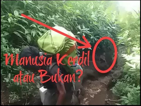 80 Foto Penampakan Gunung Slamet HD