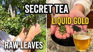 The Secret Tea Hidden in Your Peach Tree 🌿