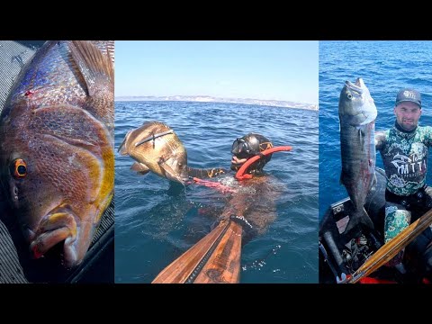 Chasse sous marine Marseille t 2023 un fusil qui attrape du poisson le MTTI 100