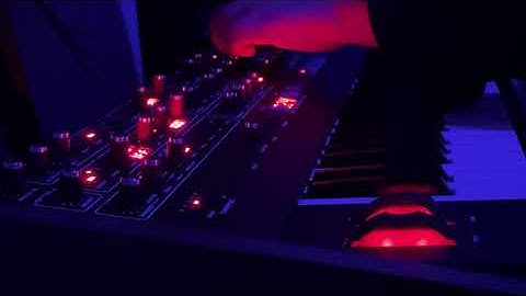 Exploring the Synth: Ambient Orchestra on Prophet 6