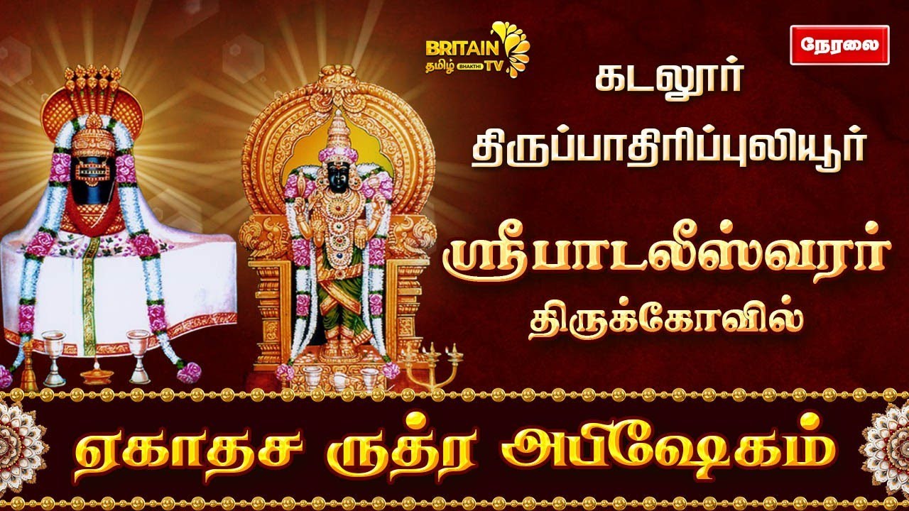 LIVE - கடலூர் திருப்பாதிரிப்புலியூர் ஸ்ரீபாடலீஸ்வரர் திருக்கோவில் ஏகாதச ருத்ர அபிஷேகம்