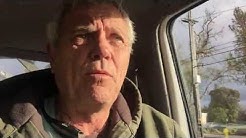 What does Arborist Consulting mean?