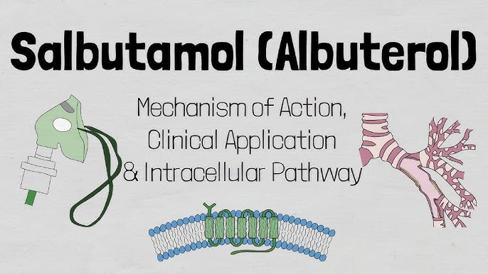 Salbutamol Albuterol Mechanism Of Action Youtube