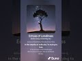 Echoes Of Loneliness 