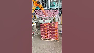 Palletizing robot #automobile #industrialrobot #factory #intelligence #machine #manufacturing