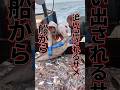 船から追い出されるサメ