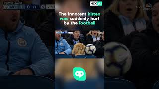 Turning your craziest imagination into an video with HIX AI!