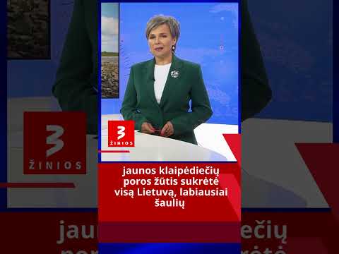 Žūtis Sukrėtė Visą Lietuvą